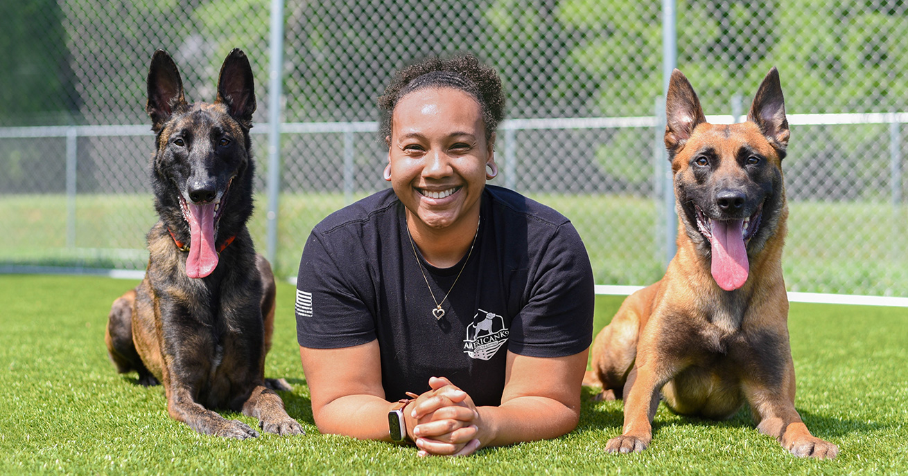 Multi Dog Household Training Phoenix: Strategies for a Harmonious Home